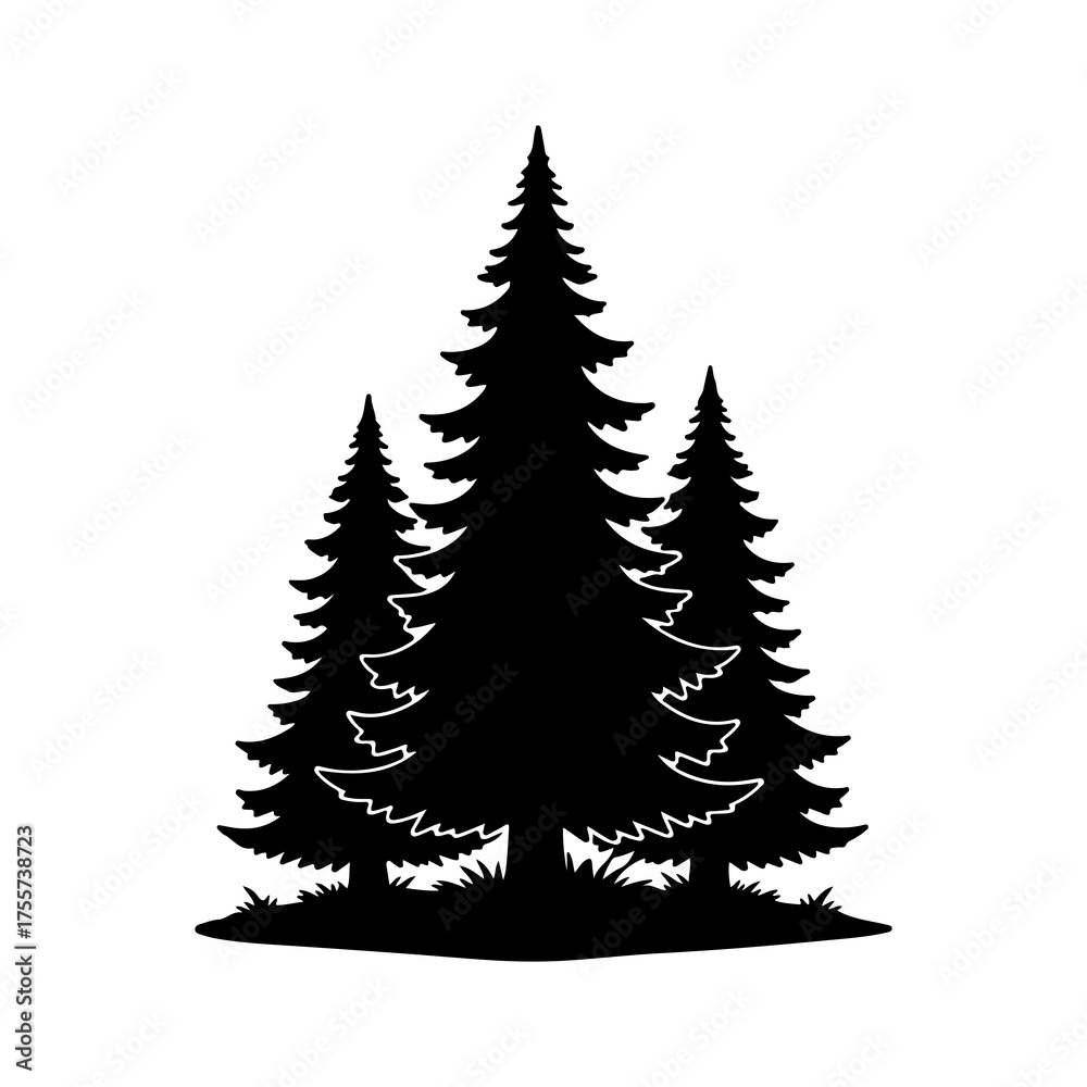 Fototapeta premium Evergreen trees silhouette with transparent background