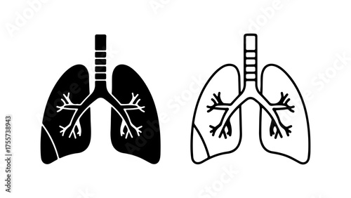 Human lungs anatomy with transparent background