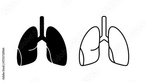 Human lungs outline and solid with transparent background