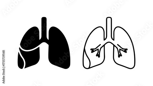 Human lungs anatomy with transparent background