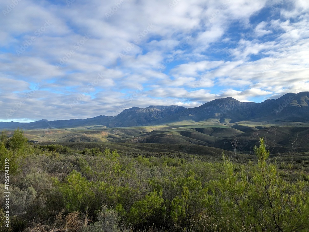 Naklejka premium Patchy sky