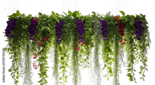 Fototapeta Naklejka Na Ścianę i Meble -  3d lush greenery and purple flower wall decor isolated on transparent background