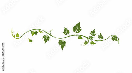 A flowing green vine with textured leaves adorns a white background