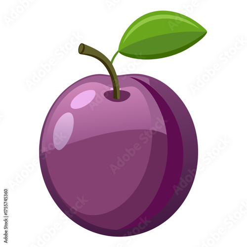 vector illustration of plum