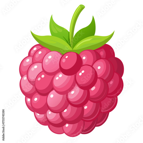 vector illustration of a raspberry