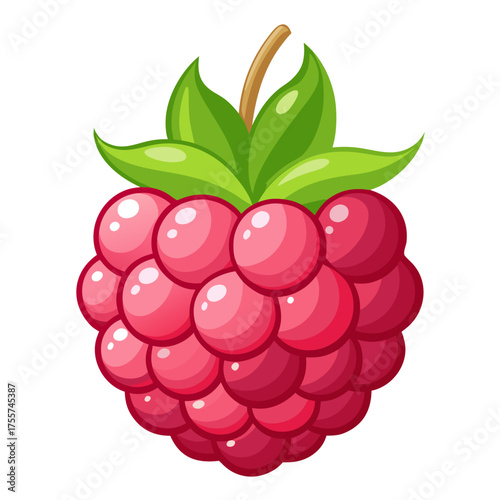 raspberry with leaf