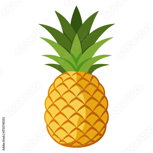 pineapple on a white background