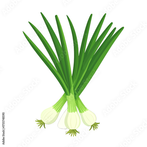 Fresh Green Scallions Bunch on Clean White Background Still Life Food Ingredient Kitchen Culinary Herb Cooking Vegetarian Dish Vegan Diet Healthy
