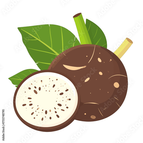 Taro Root Vegetable Illustration with Green Leaves on White Background a Simple and Appetizing Image for Culinary and Healthy Food Concepts
