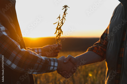 фотографія Farmers making a handshake deal in soybean field at sunset