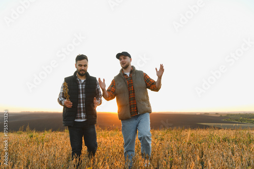 Farmers walking through field discussing harvest at sunset