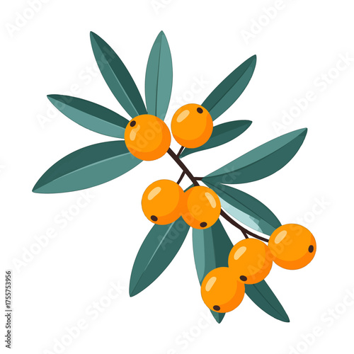 Vibrant Orange Berries on Branch with Green Leaves Isolated on White