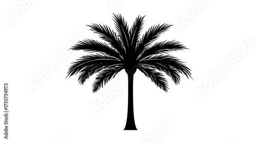 A stark black silhouette of a tall palm tree with abundant fronds against a white background