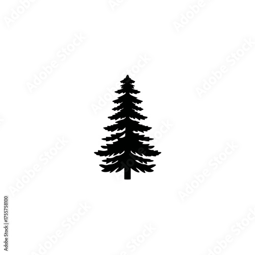 A detailed black silhouette of a tall, bushy evergreen tree stands against a white background