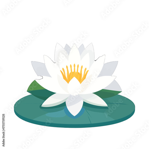 Isolated White Water Lily Blossom with Yellow Center on Green Leaf Pad on White Backdrop