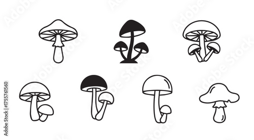 Collection of hand drawn sketch style mushrooms various shapes and sizes isolated on white vector
