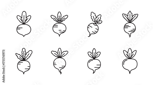 Collection of hand drawn beetroot root vegetables with green tops for organic food and garden themes vector