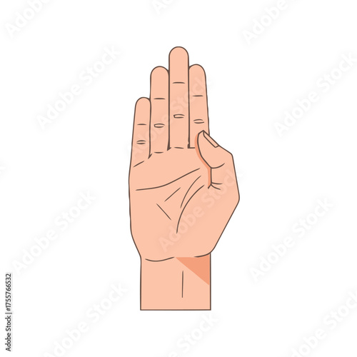 Hand with four fingers raised, palm facing forward