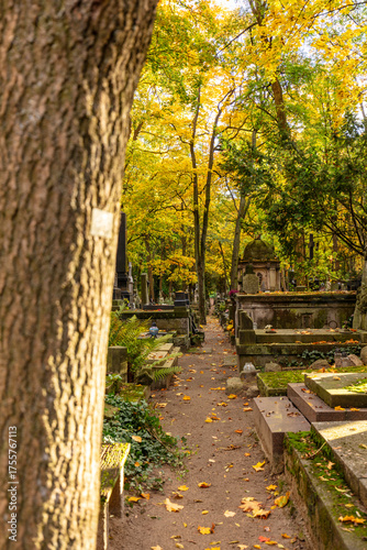Stare Powązki, zabytkowy cmentarz w centrum Warszawy