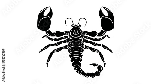 Black silhouette of a scorpion with raised claws on a white background