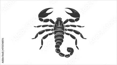 Detailed black scorpion illustration against a white background