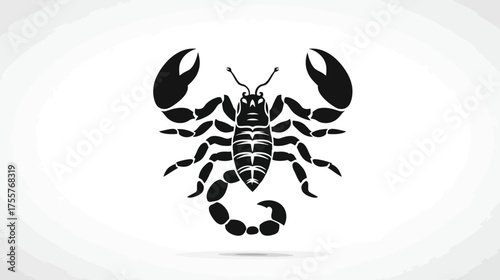 Black scorpion silhouette with spread claws and segmented tail curled upwards