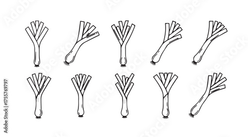 Ten fresh leeks hand drawn sketch style for healthy cooking ingredients vector