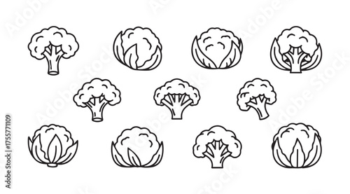 Hand drawn sketch collection of fresh broccoli and cabbage vegetables vector