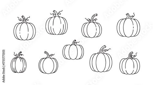 Hand drawn sketch collection of various pumpkins for autumn harvest and halloween celebrations vector