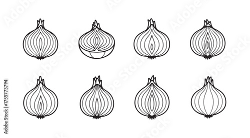 Hand drawn sketch style onions variety whole and halved for culinary art and food designs vector