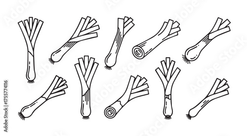 Hand drawn leek vegetables in a variety of styles isolated on white vector