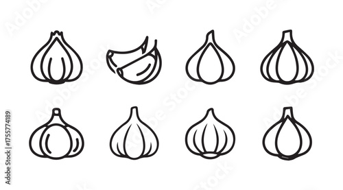 Collection of simple line art garlic icons for culinary and health themes vector