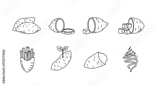 Hand drawn sweet potato varieties and preparations sketch collection isolated on white vector