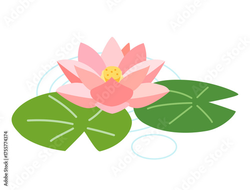 ピンクの睡蓮をイメージしたイラスト