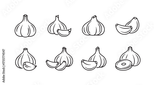 Hand drawn sketch garlic bulbs and cloves diverse angles food ingredient icon set vector