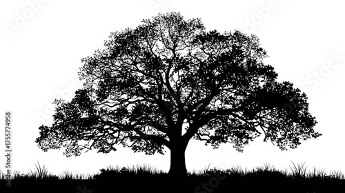 Silhouette of a large, leafy tree with a thick trunk against a white background