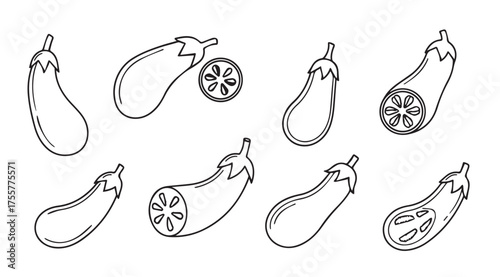 Collection of hand drawn eggplant sketches in various poses and slices for artistic food content vector