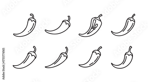 Hand drawn chili peppers set fresh organic spicy ingredients for culinary use and food design vector