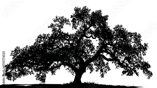 Majestic ancient oak tree silhouette with sprawling branches and dense foliage