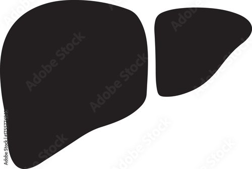 liver silhouette on white background