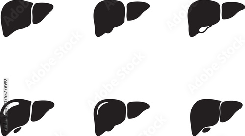 liver silhouette on white background