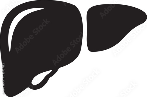 liver silhouette on white background