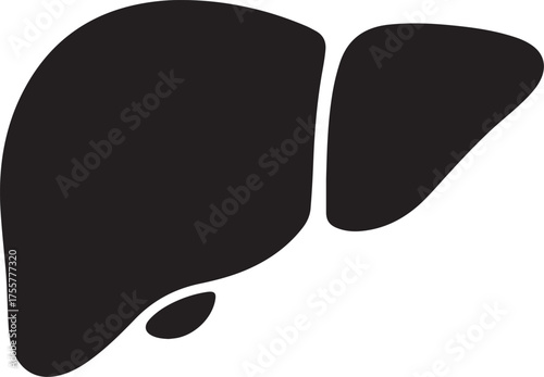 liver silhouette on white background