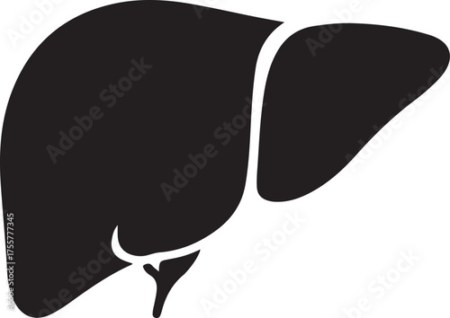 liver silhouette on white background