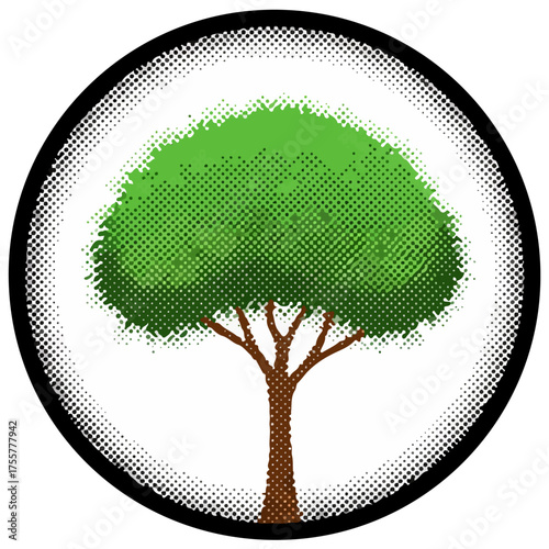 A Rain tree glowing under a shower of emerald shooting stars and so on their synchronized wings blending with the celestial glow forest into a cosmic wonder.	
