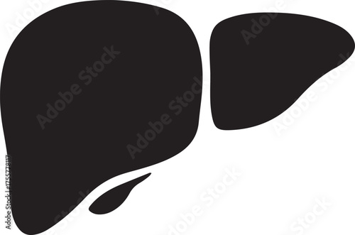 liver silhouette on white background