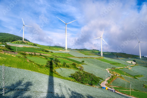 Clean energy meets agriculture in a stunning summer sunrise scene in Taebaek, Gangwon Province, South Korea.