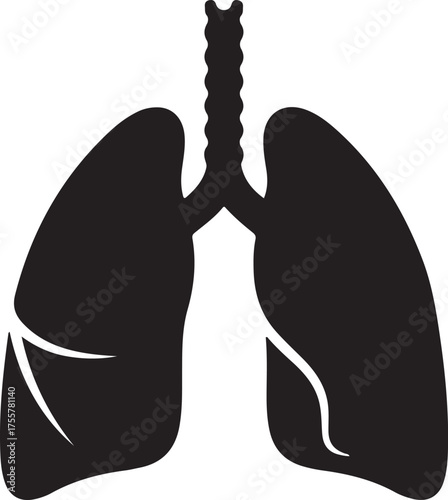 lungs silhouette on white background