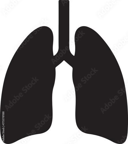 lungs silhouette on white background