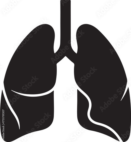 lungs silhouette on white background